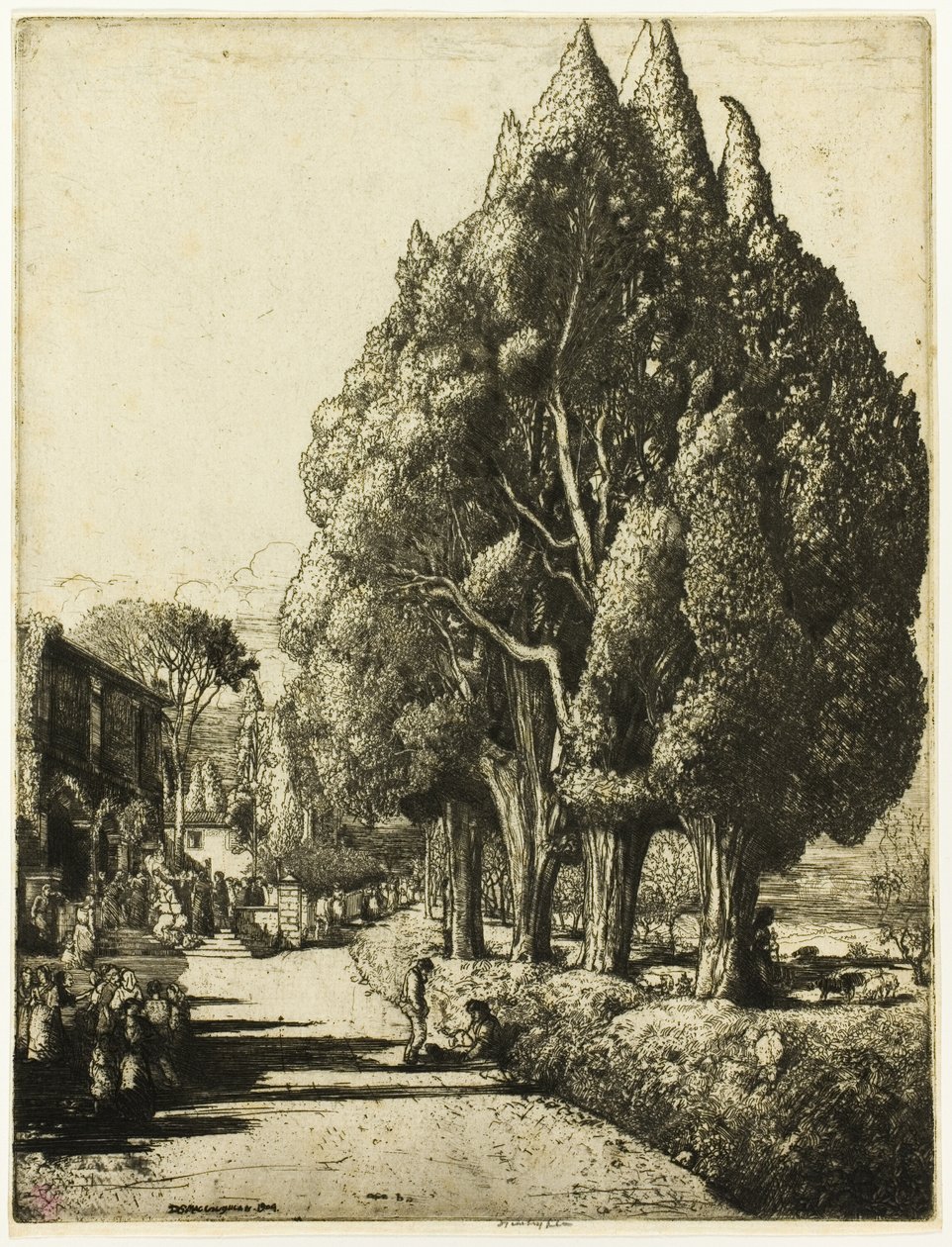 Cypress Grove av Donald Shaw MacLaughlan