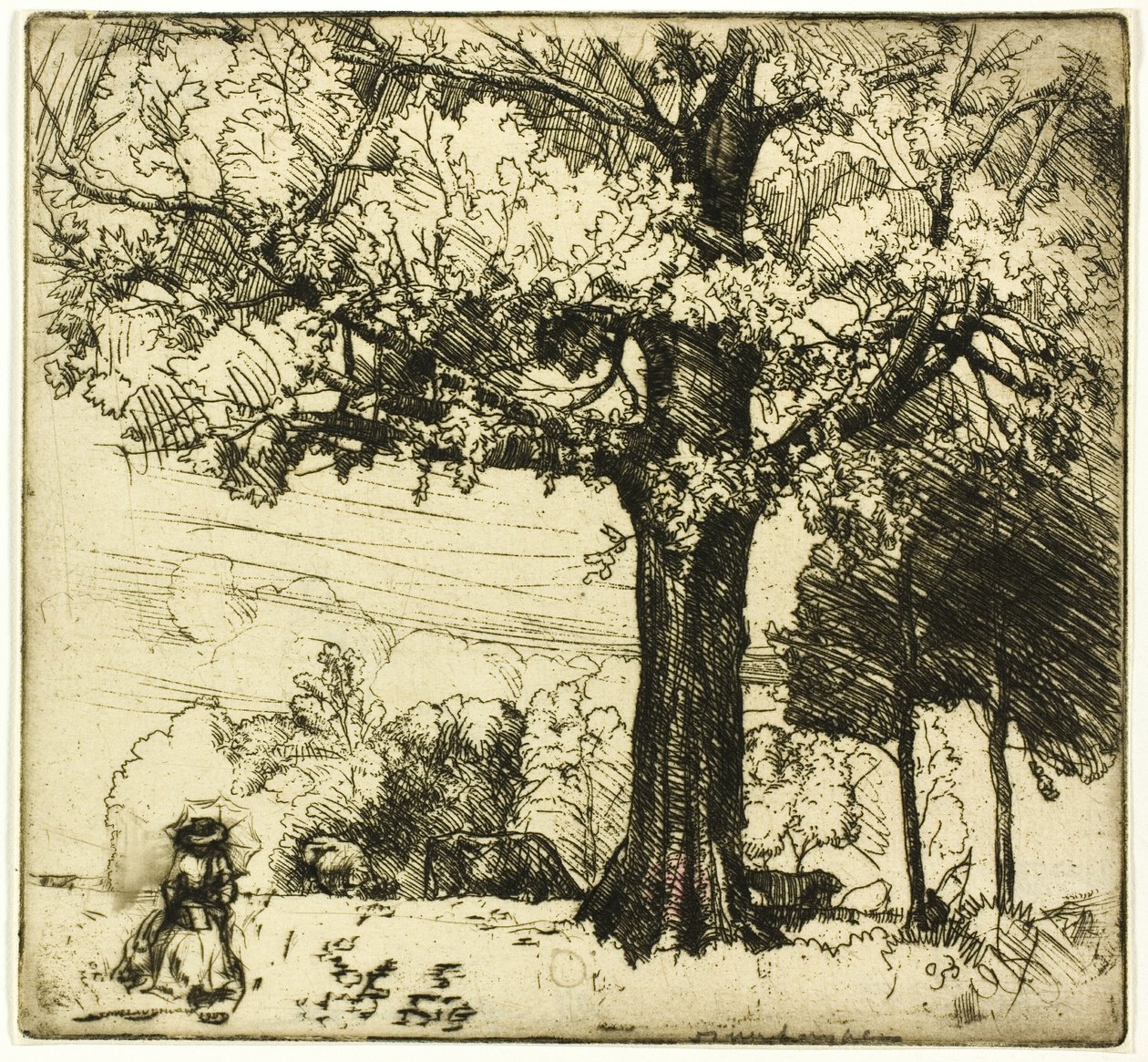 Den store eiken av Donald Shaw MacLaughlan
