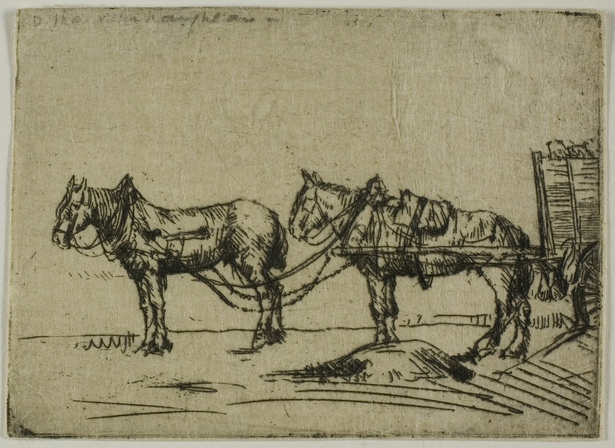 To hester av Donald Shaw MacLaughlan