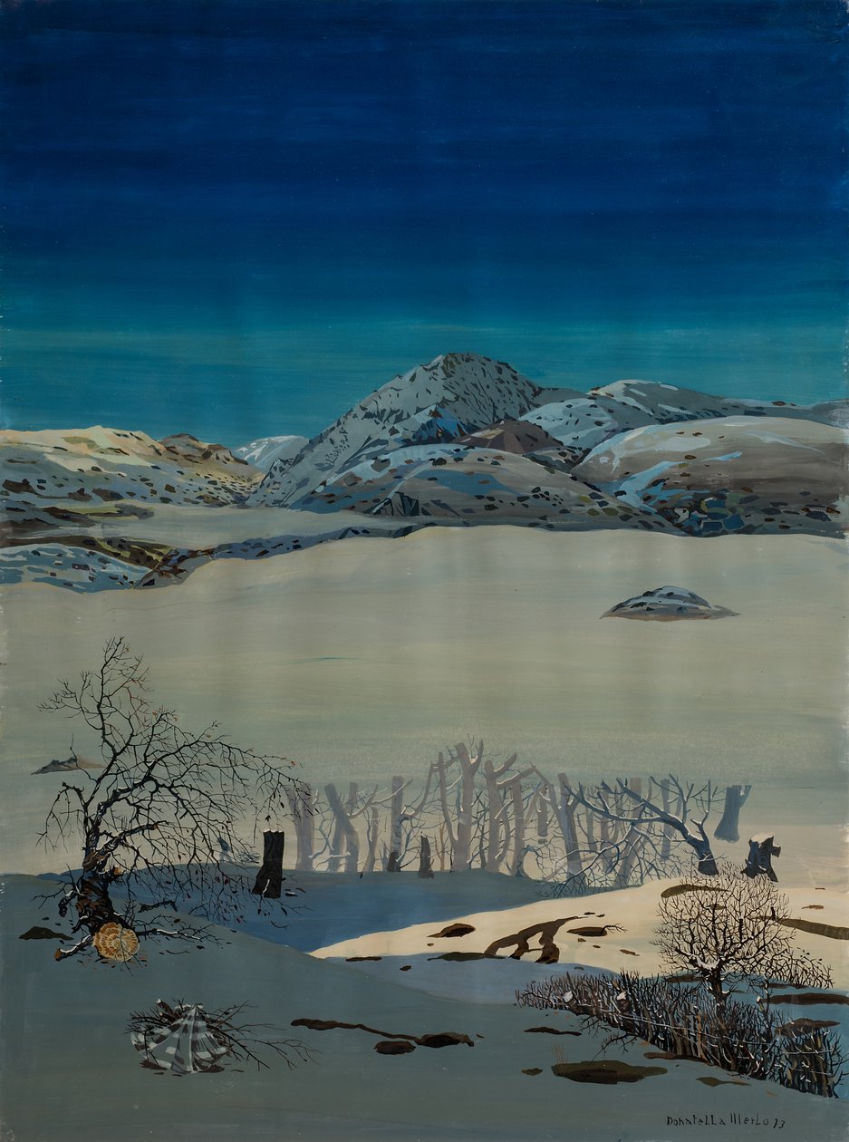 Snø av Donatella Merlo