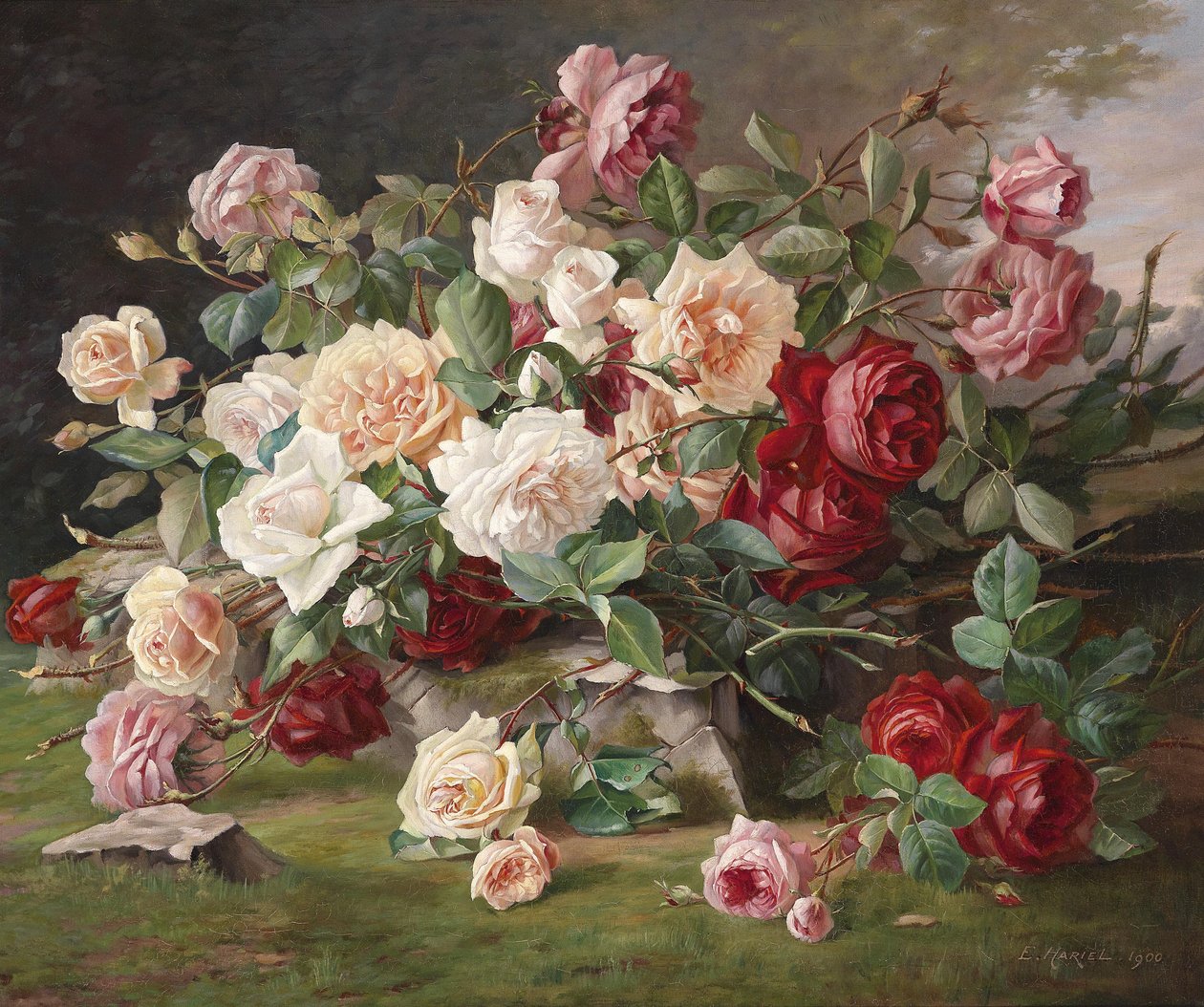 Rose stilleben av E. Hariel