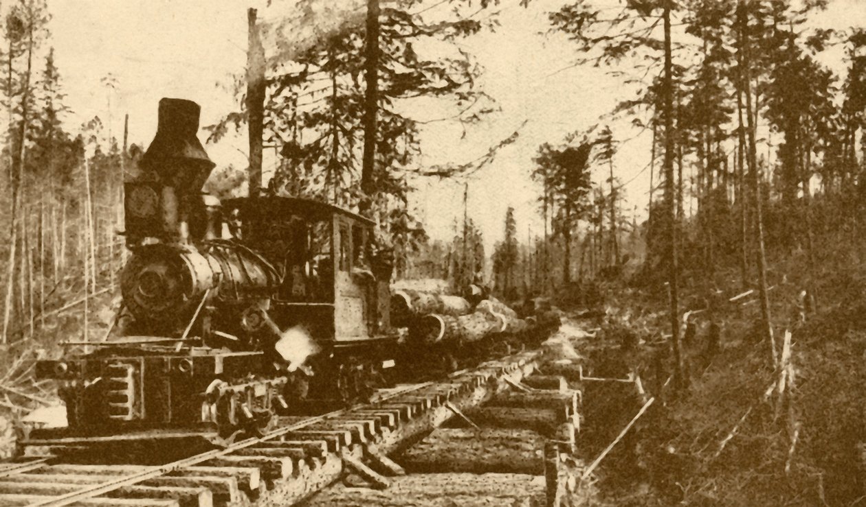 A Logging Railway, British Columbia, 1930. av ENA