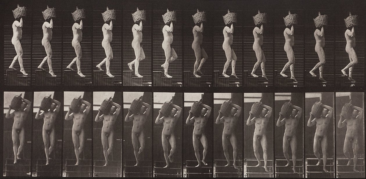 Animal Locomotion, plate 136 av Eadweard Muybridge