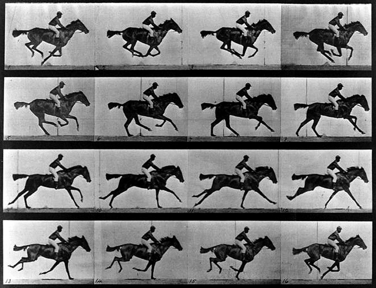 Et sekvensbilde av Eadweard Muybridge