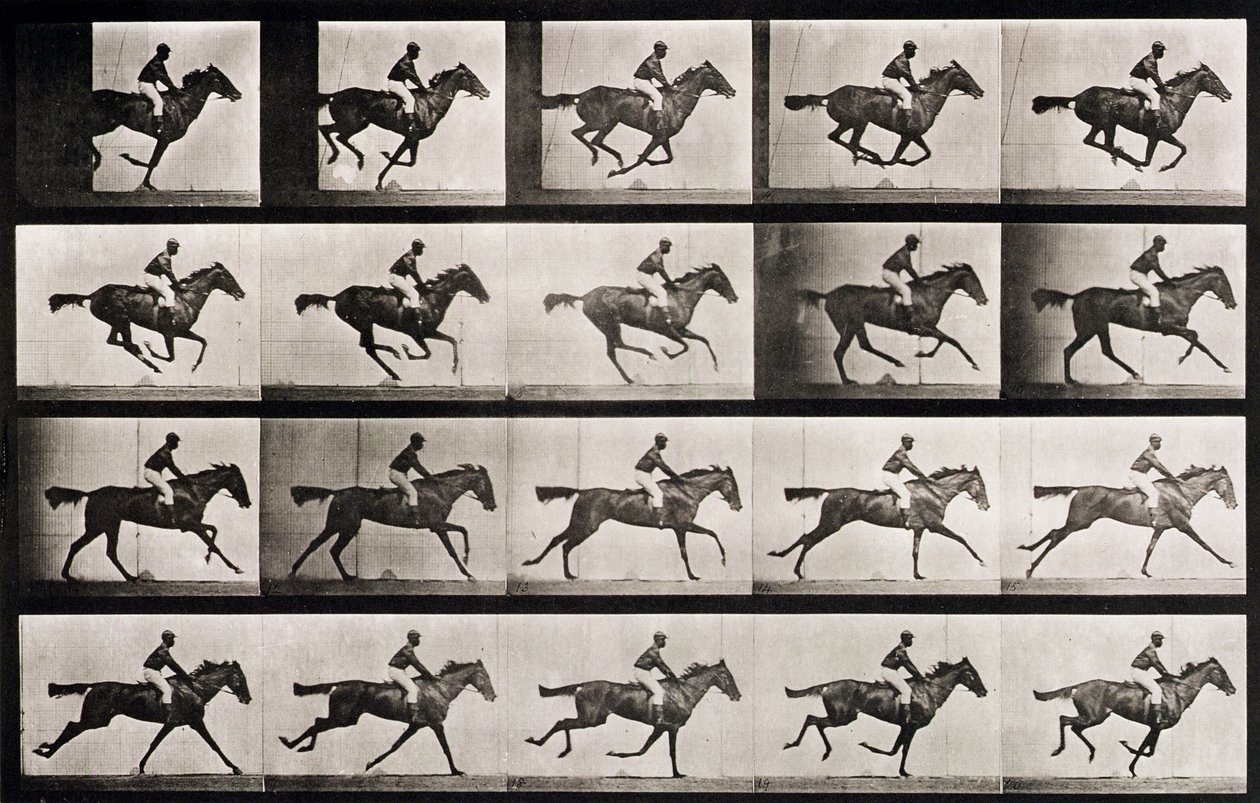 Jockey på en galopperende hest, plate 627 fra 
