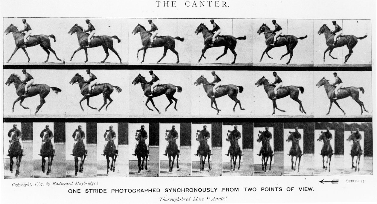 The Canter: One Stride Photographer Synchronously from Two Points of View, 1887, illustrasjon fra 