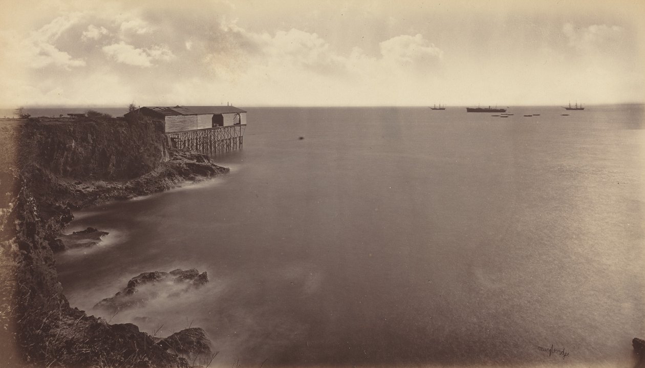 Acajutla, 1877. av Eadweard Muybridge