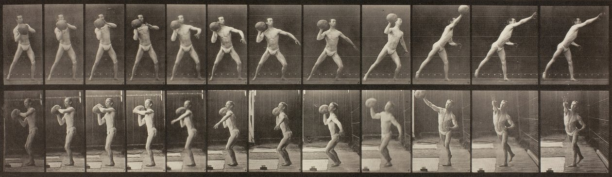 Dyrebevegelse, plate 319, 1887. av Eadweard Muybridge