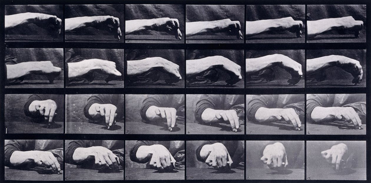 A Motion Study of a Hand, ca. 1872-1885 av Eadweard Muybridge
