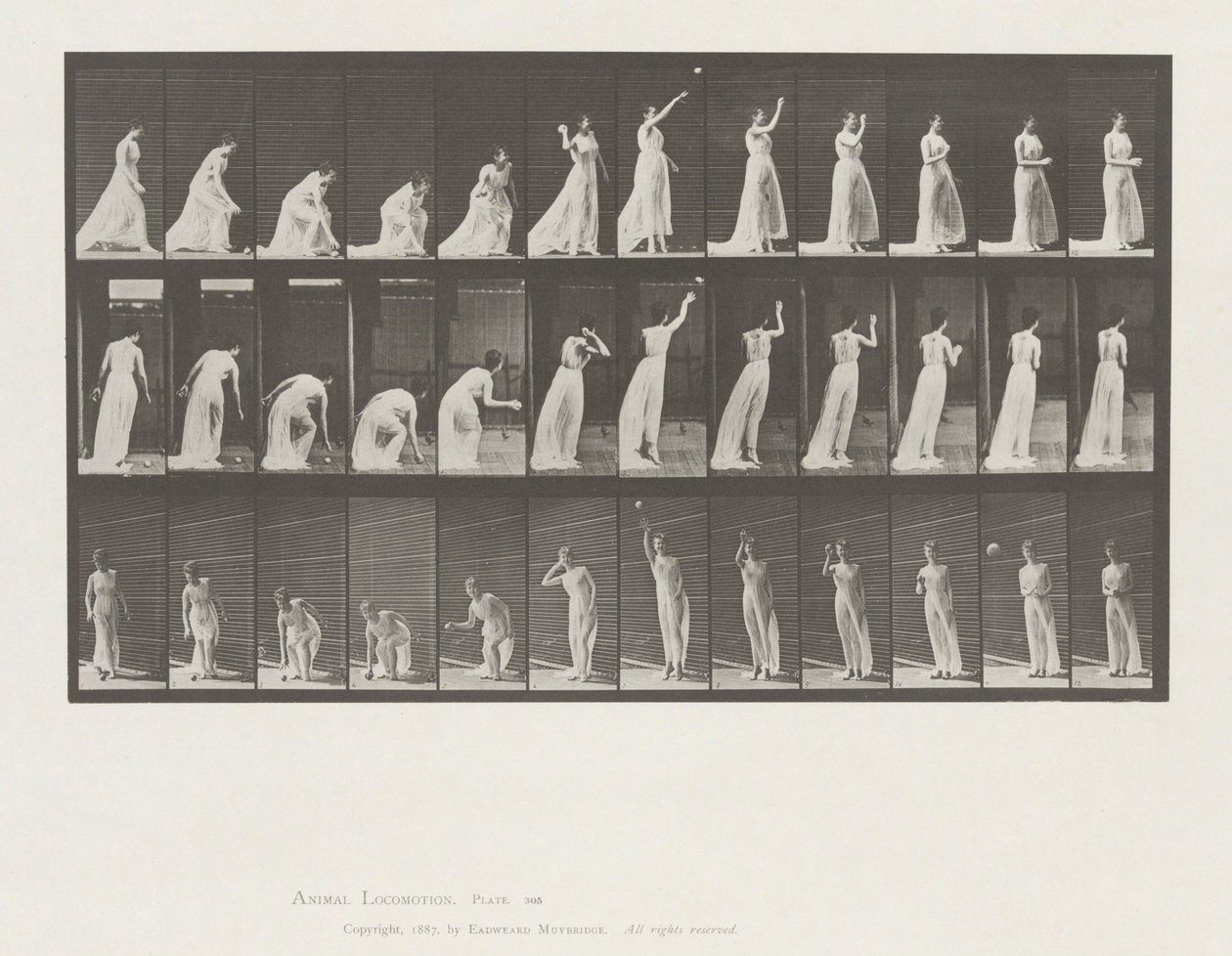 Animal Locomotion, Plate 305   1335305   no       norwegian Successfully Translated  Original: Portrait of the Poet Gavrila R. Derzhavin, 1743-1816, 1790s. Translat: Portrait of the Poet Gavrila R. Derzhavin