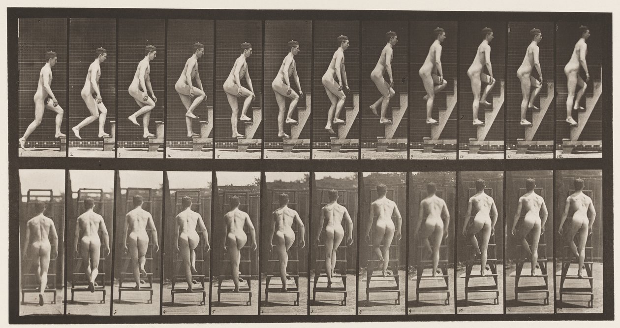 Tavle 109. Oppstigende trappestige, 1872-1885 av Eadweard Muybridge