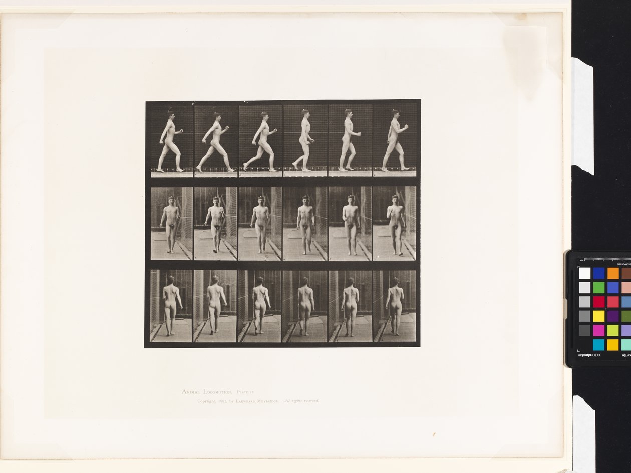 Plate 10.Gå av Eadweard Muybridge