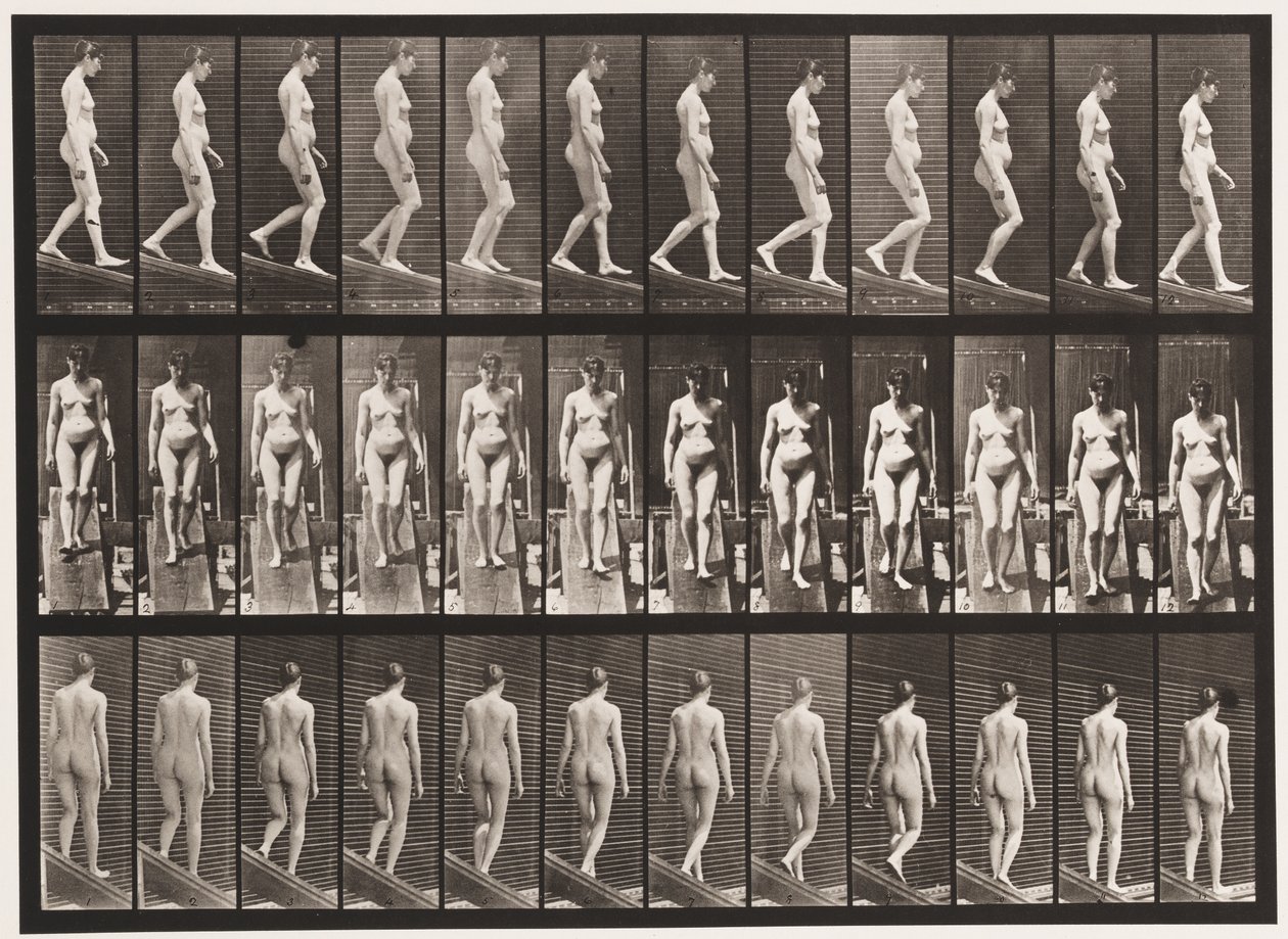 Tavle 117. Descending Incline, 1872-1885 av Eadweard Muybridge