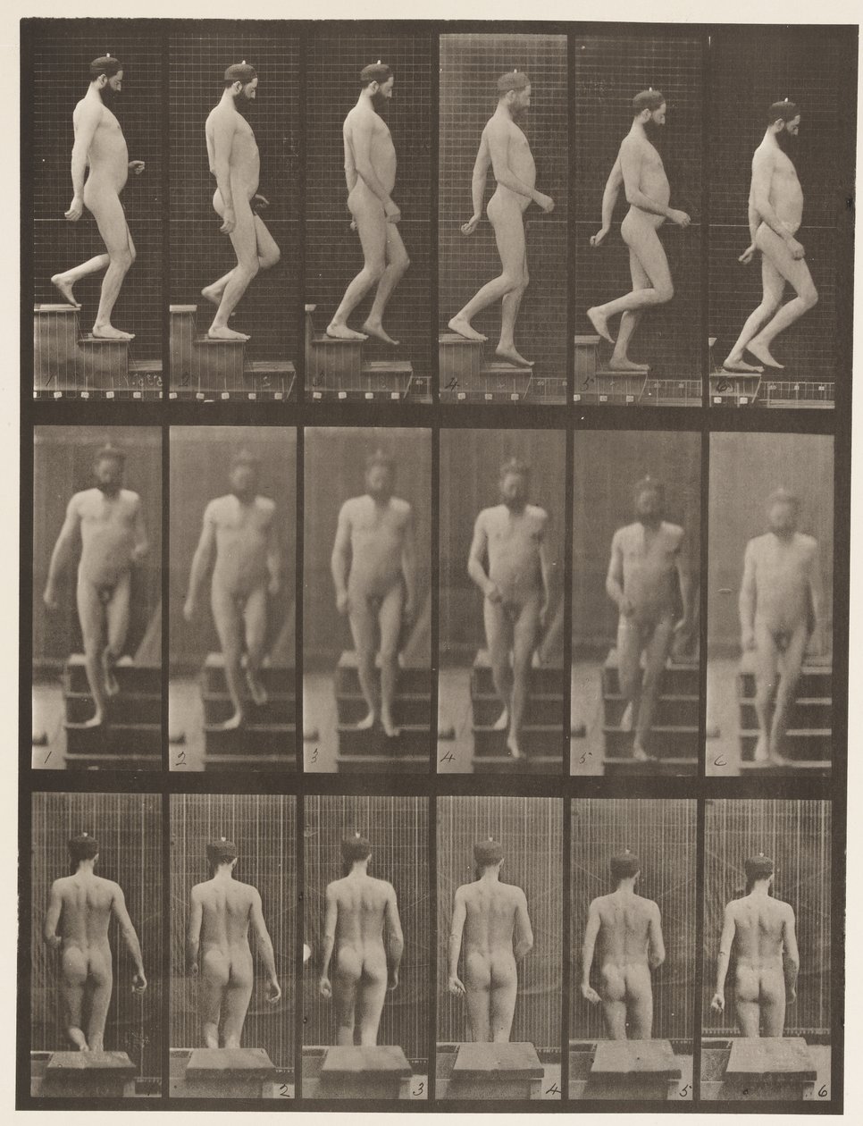 Plate 127. Nedstigende trapper, 1872-1885 av Eadweard Muybridge