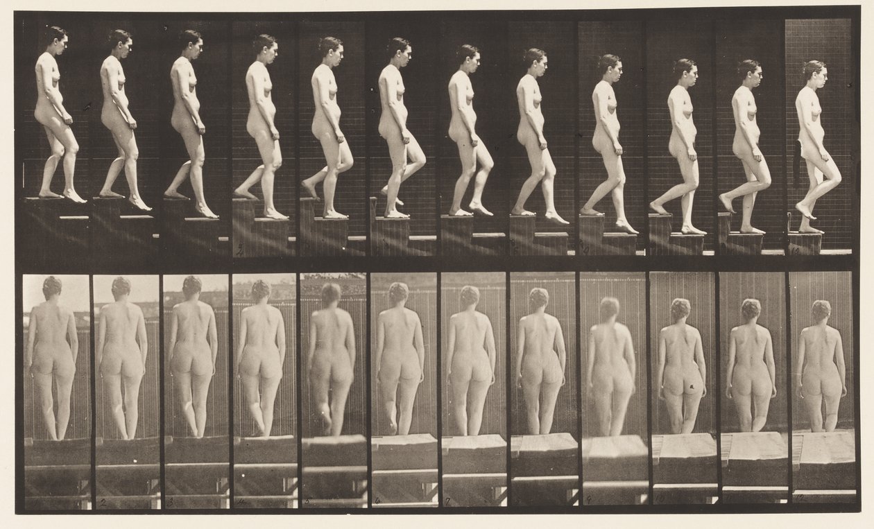 Tallerken 129. Nedstigende trapp, hender i klem av Eadweard Muybridge