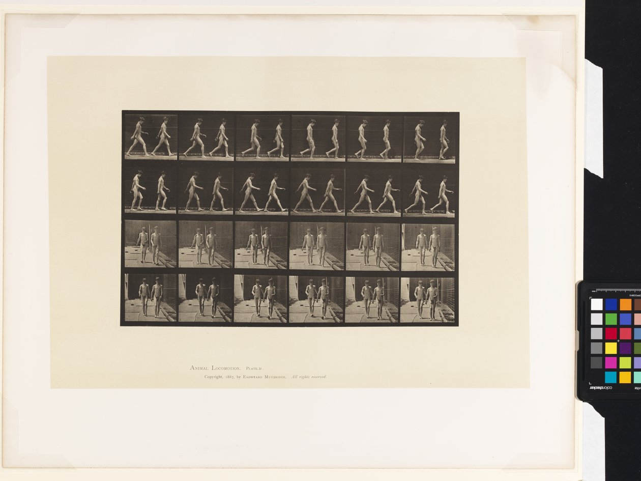 Plate 12.Gå av Eadweard Muybridge