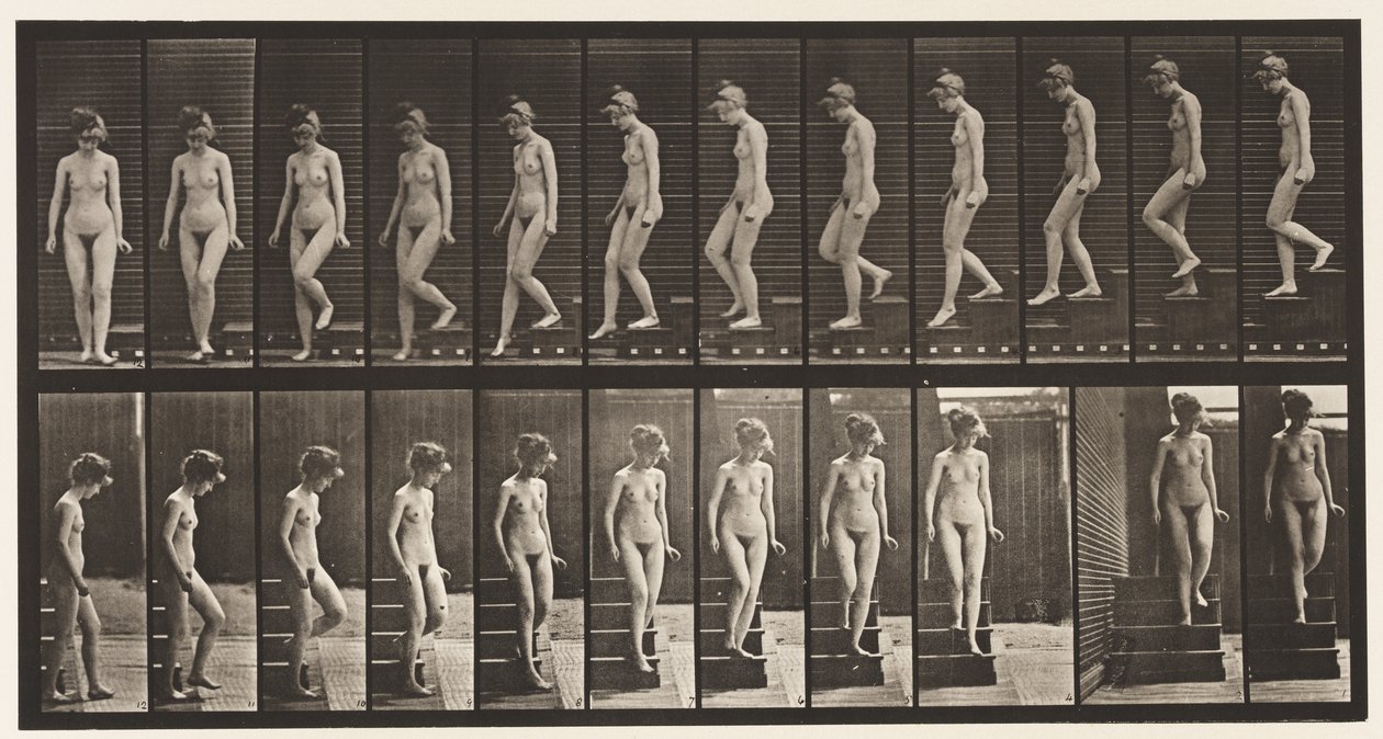 Plate 137. Nedstigende trapp, snur seg rundt av Eadweard Muybridge