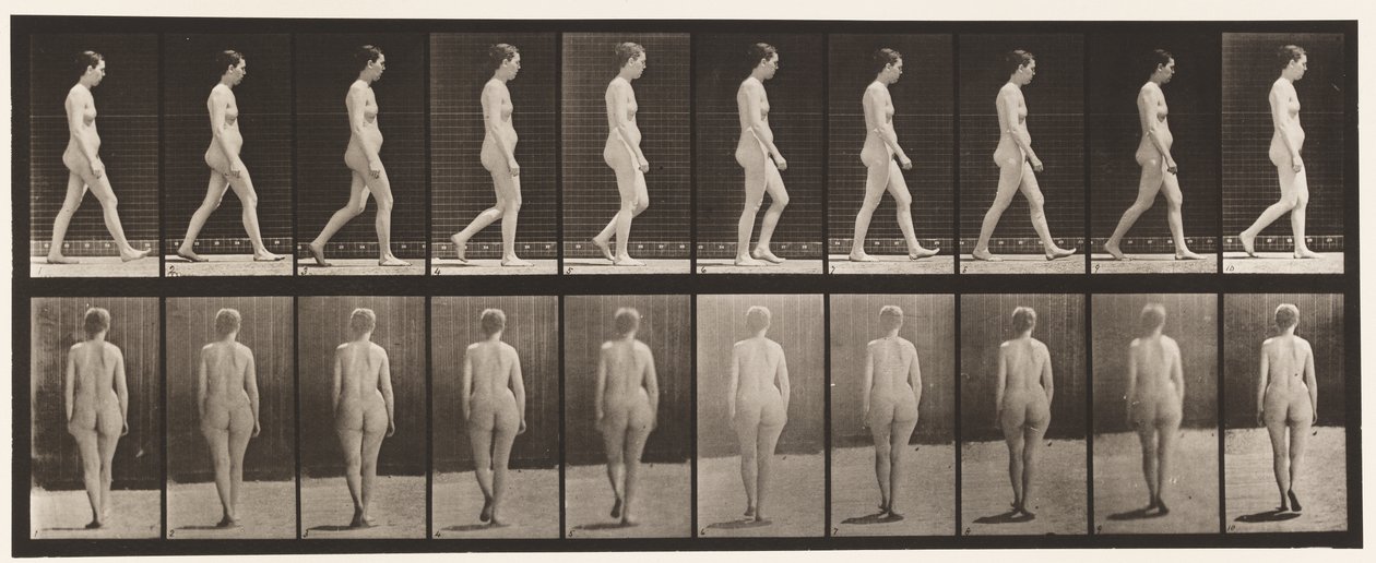 Plate 15. Gående av Eadweard Muybridge