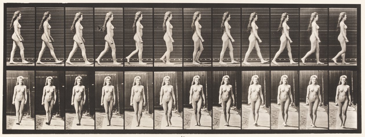 Plate 17. Vandrende, 1872-1885 av Eadweard Muybridge