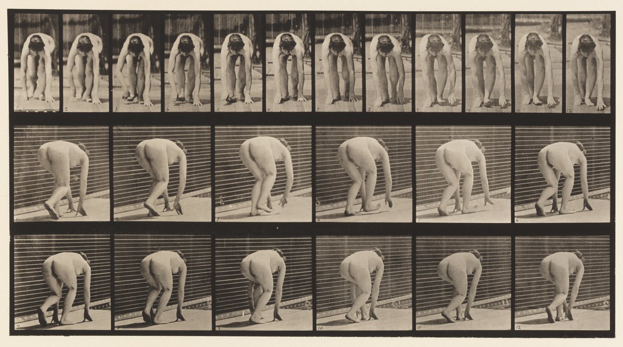 Plate 184. Går på hender og føtter av Eadweard Muybridge