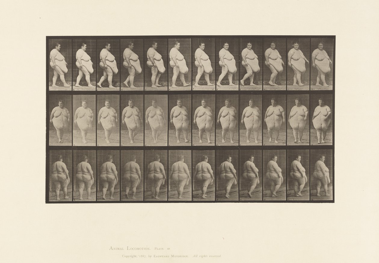Plate 19. Gå, begynner å snu av Eadweard Muybridge