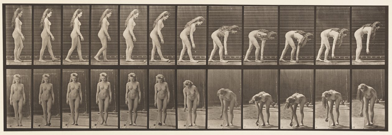 Plate 204. Stopper for å plukke opp ball av Eadweard Muybridge