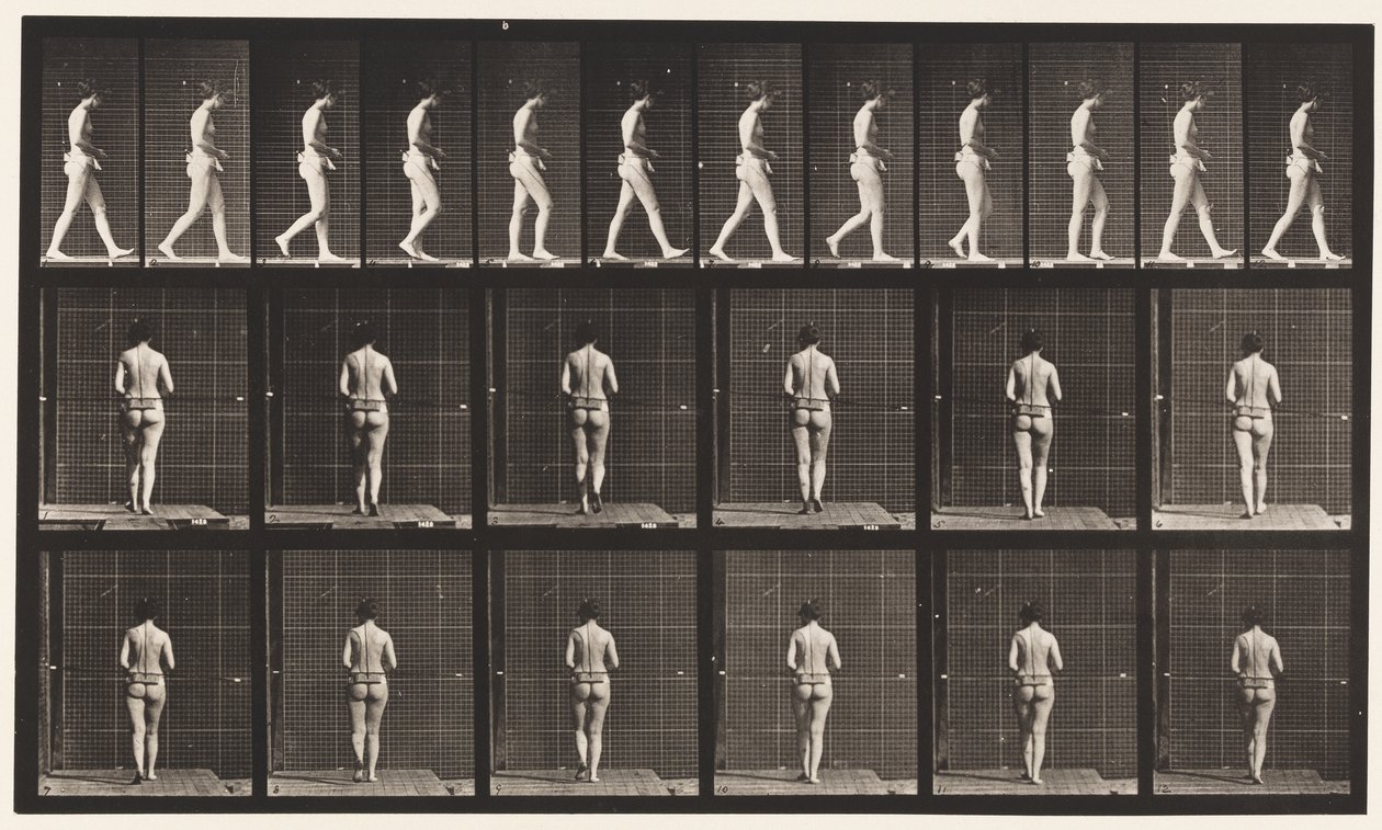 Plate 21. Gående, begge albuene bøyd av Eadweard Muybridge