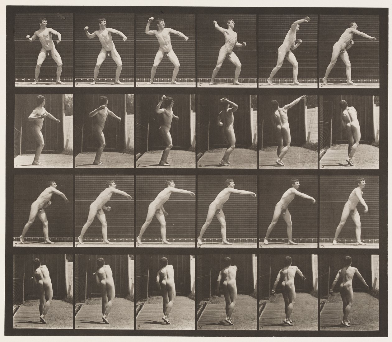 Plate 286. Base-ball; Kaster av Eadweard Muybridge