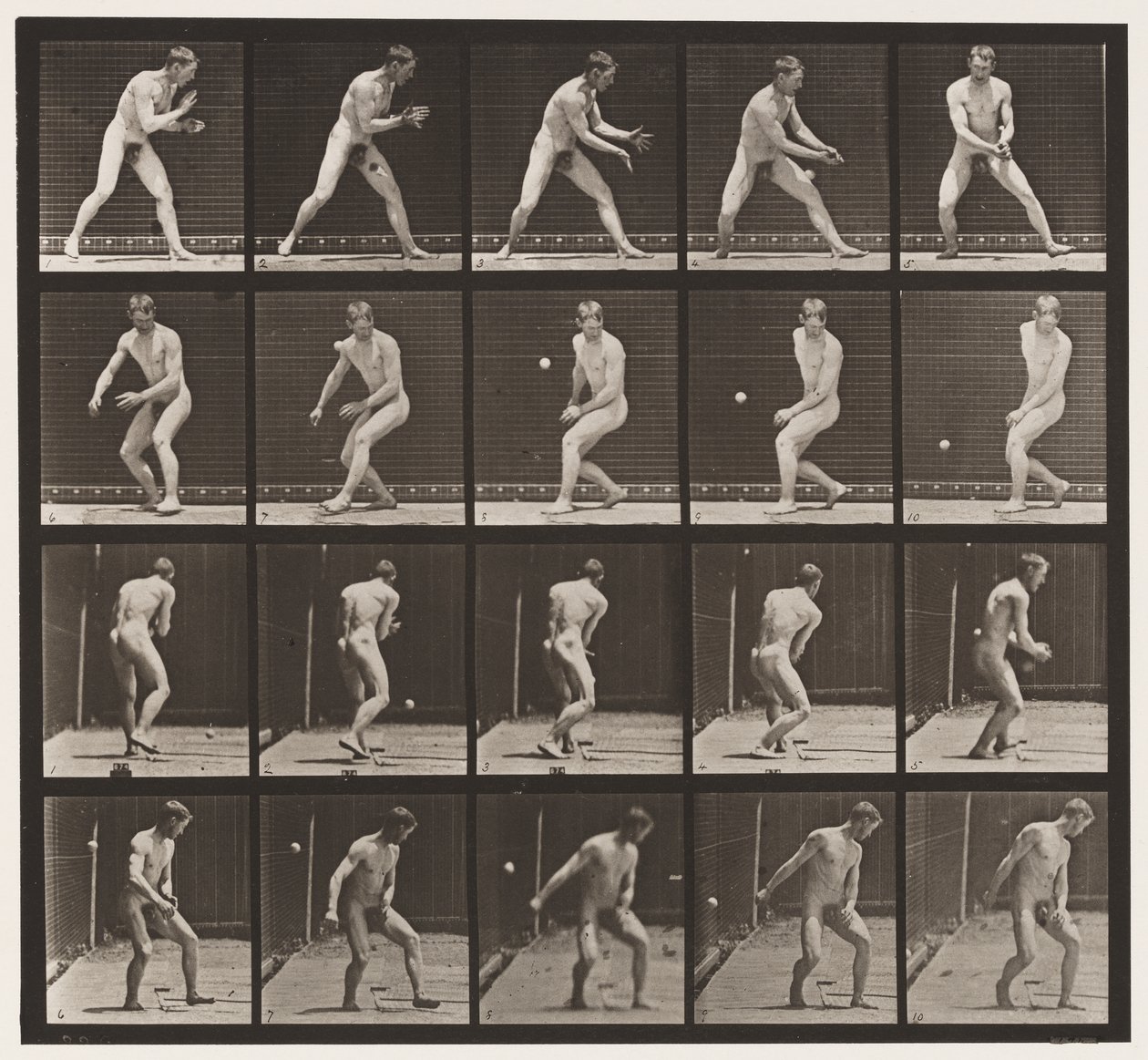 Plate 288. Base-ball; Feil av Eadweard Muybridge