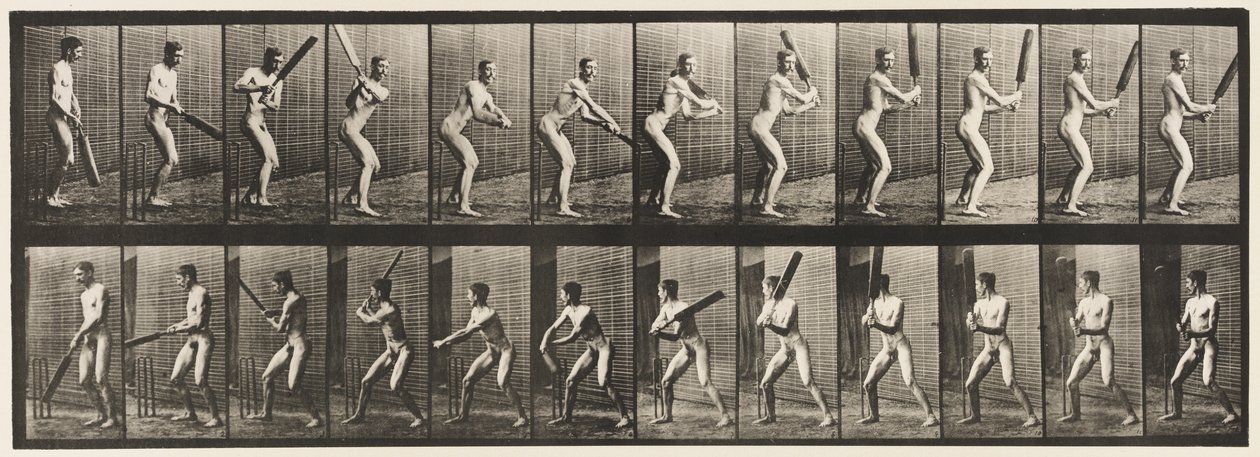 Plate 293.Cricket; Batting; Back Cut, 1885 av Eadweard Muybridge