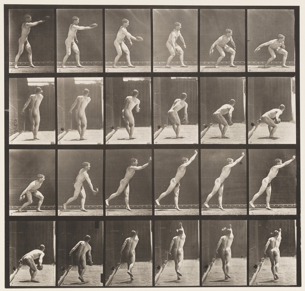 Plate 307. Kaste en jernskive, 1872-1885 av Eadweard Muybridge