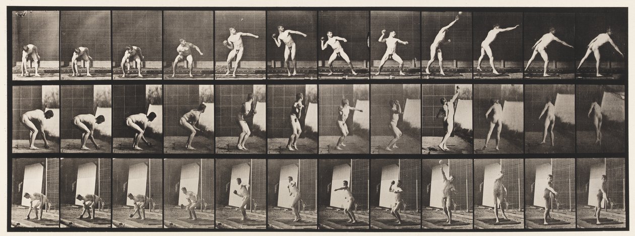 Plate 310. Putting the Shot, 1885 av Eadweard Muybridge