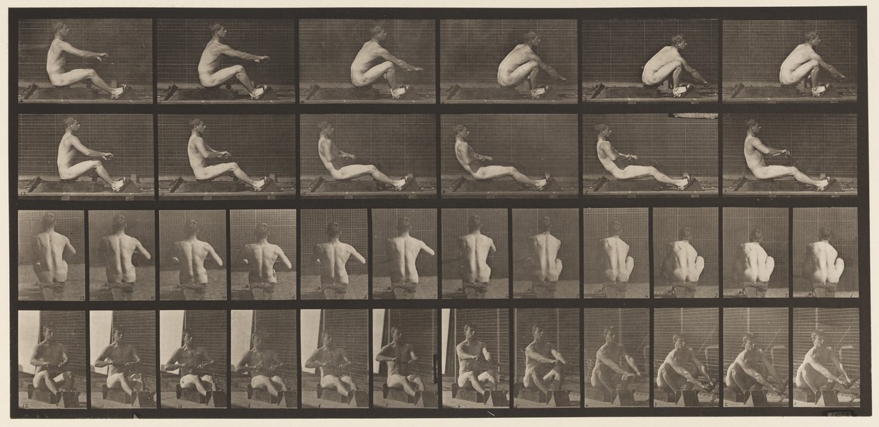Plate 328. Roing av Eadweard Muybridge