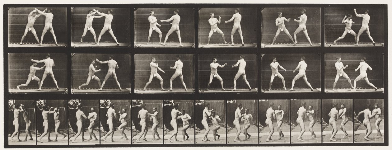 Plate 329. Boksing; (Sko) av Eadweard Muybridge