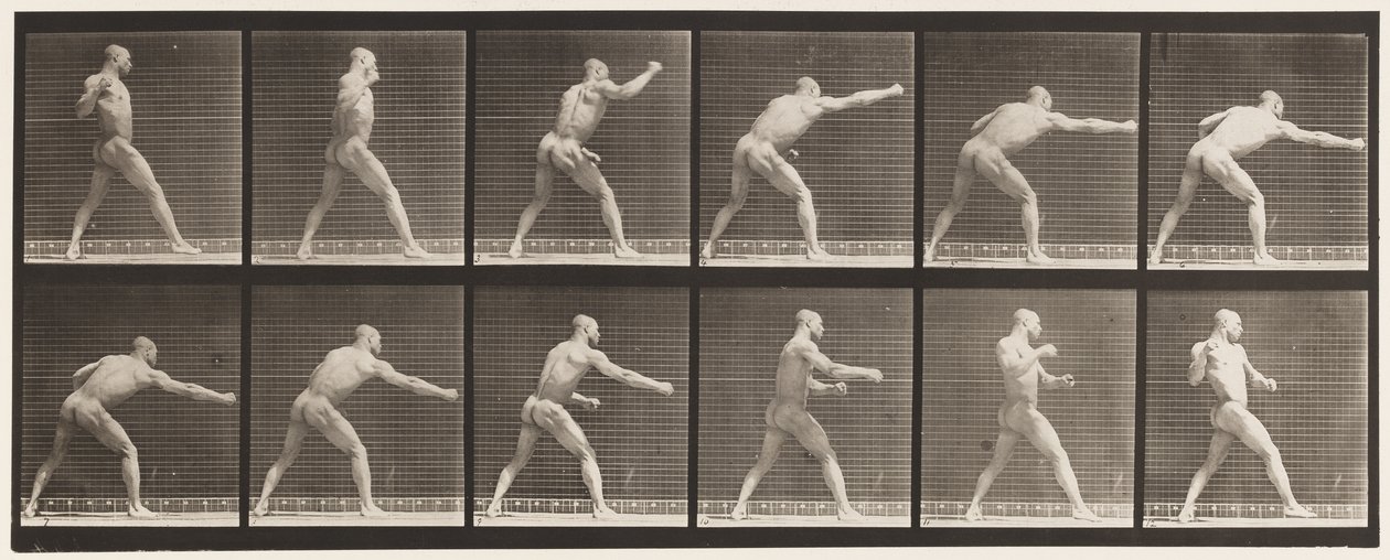 Plate 344. Slå et slag (høyre hånd) av Eadweard Muybridge