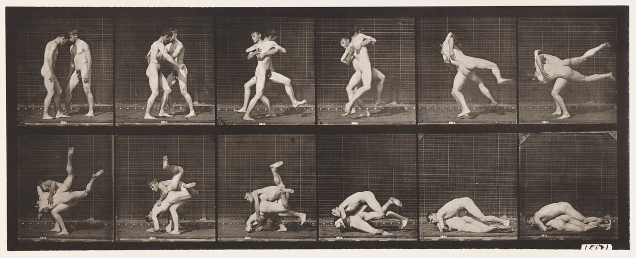 Plate 347. Wrestling, gresk-romersk, 1885 av Eadweard Muybridge