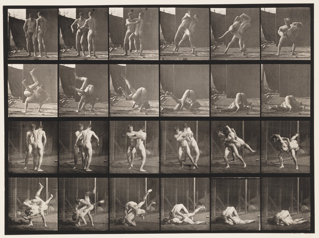 Plate 348. Wrestling, gresk-romersk, 1885 av Eadweard Muybridge