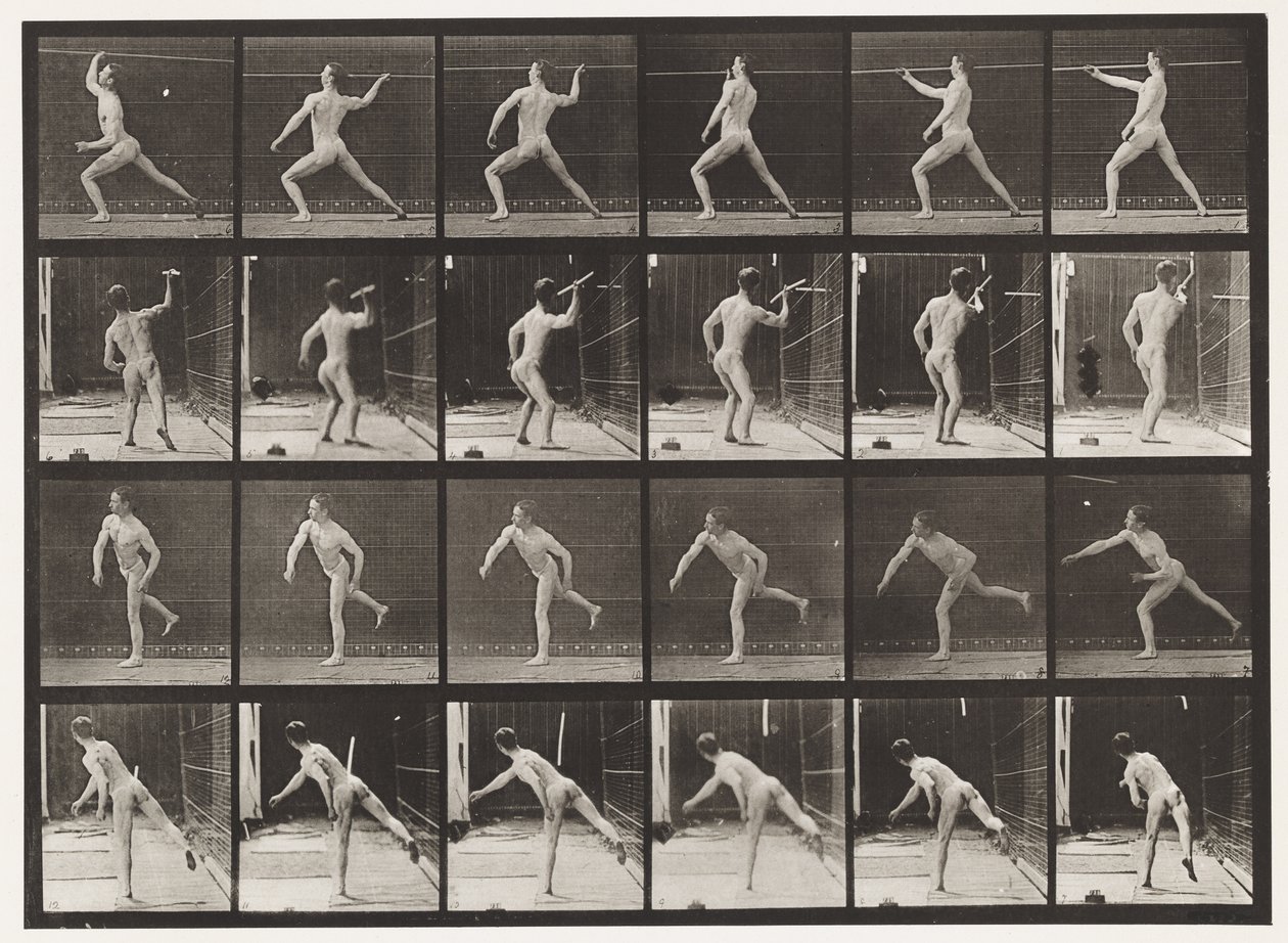 Plate 360. Kaste et spyd, 1872-1885 av Eadweard Muybridge
