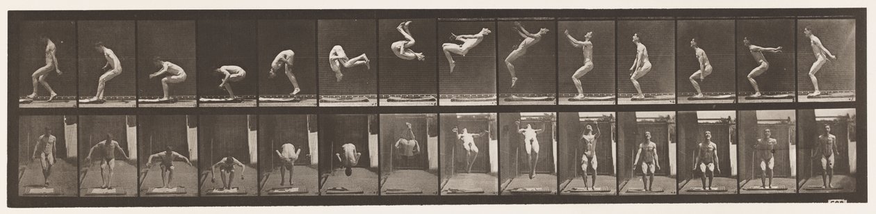 Plate 362. Baksalto av Eadweard Muybridge