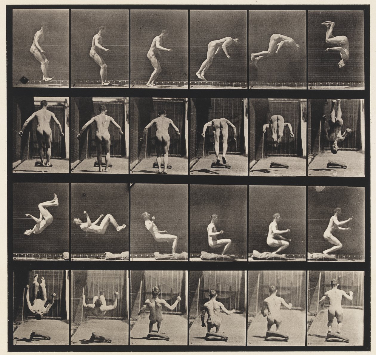 Plate 363. Running Salto, 1885 av Eadweard Muybridge