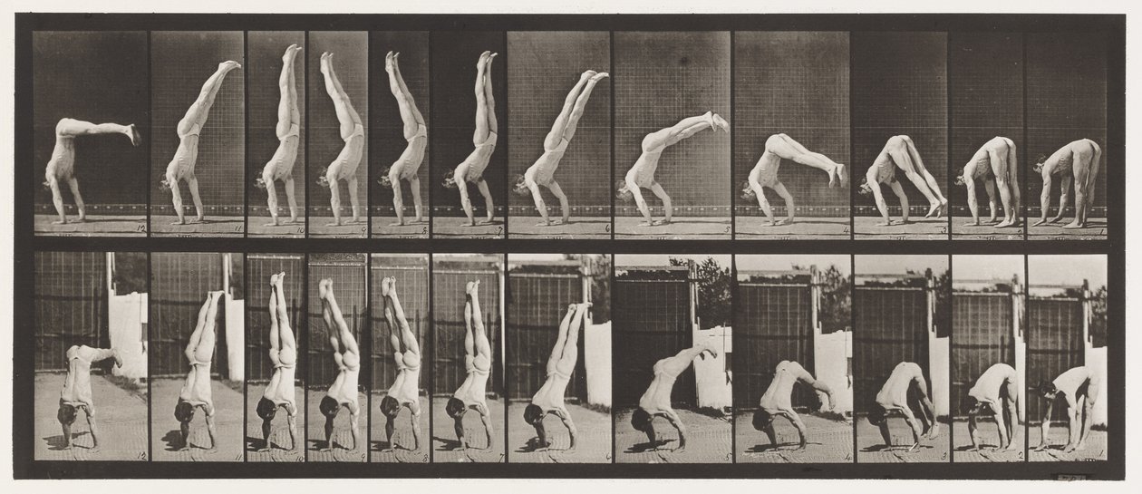 Plate 371. Acrobat, vertikal trykk opp av Eadweard Muybridge