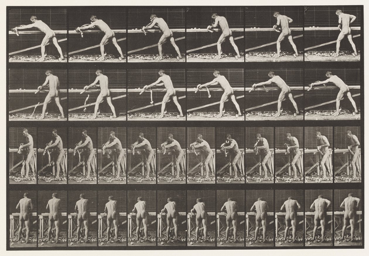 Plate 379. Snekker, høvle et bord, 1872-1885 av Eadweard Muybridge