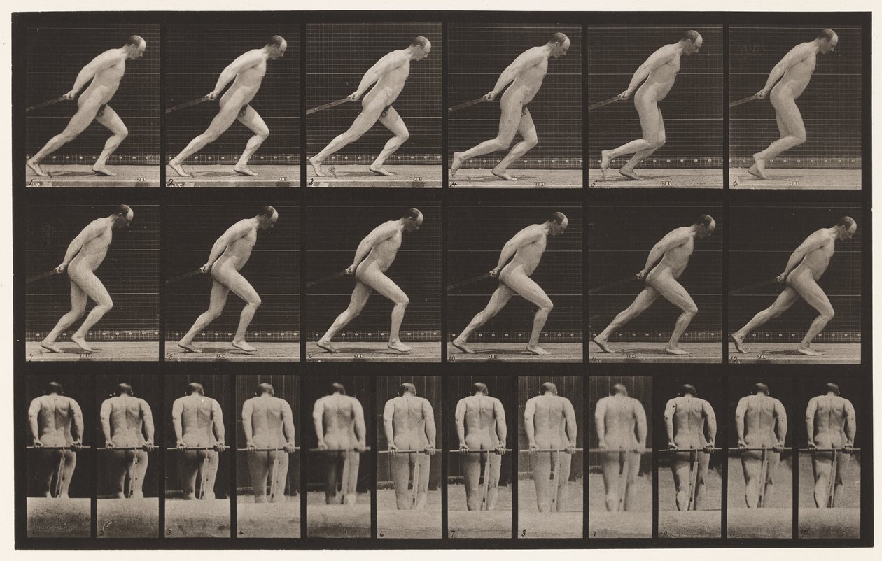 Plate 392. Draging av en hagerulle, 1872-1885 av Eadweard Muybridge