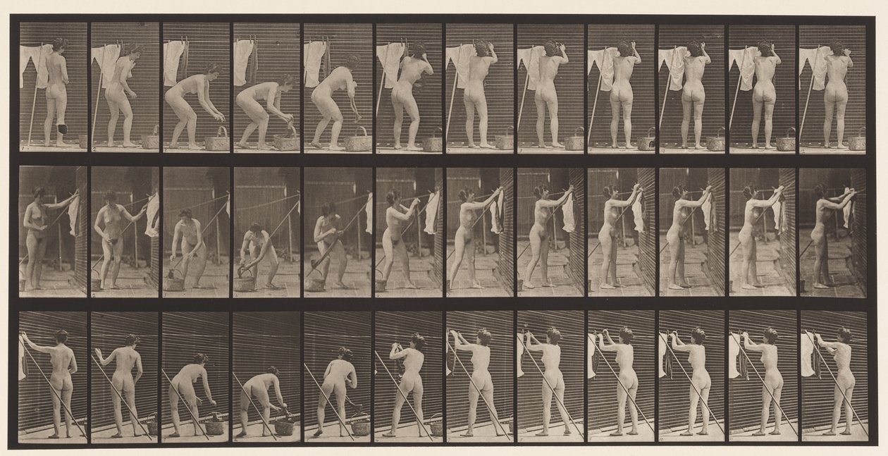 Plate 434. Hengende klær på linje, 1872-1885 av Eadweard Muybridge