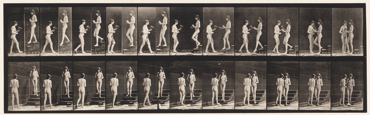 Plate 448. To modeller av Eadweard Muybridge