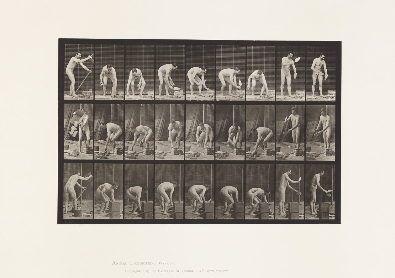 Plate 505. Muring av Eadweard Muybridge