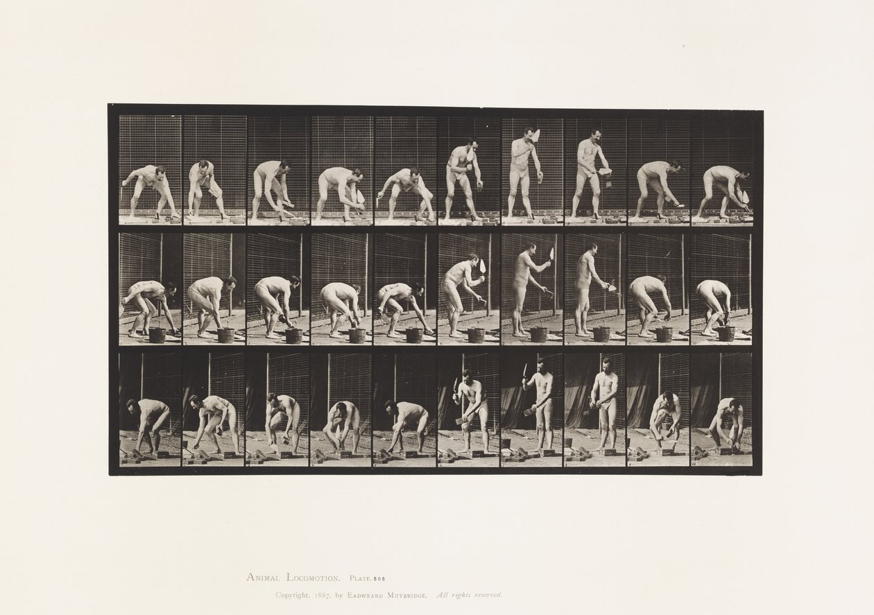 Plate 506. Muring av Eadweard Muybridge