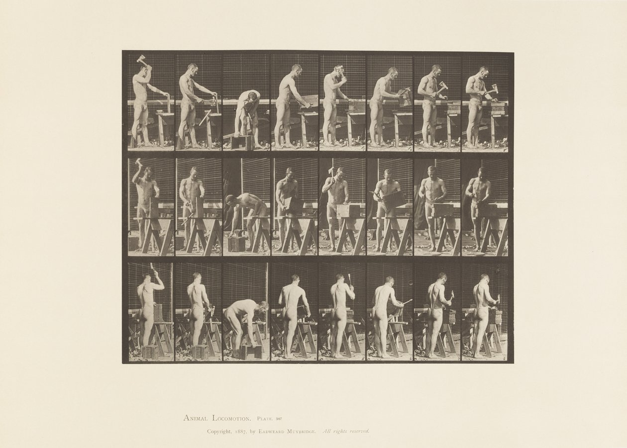 Plate 507. Snekkerarbeid av Eadweard Muybridge