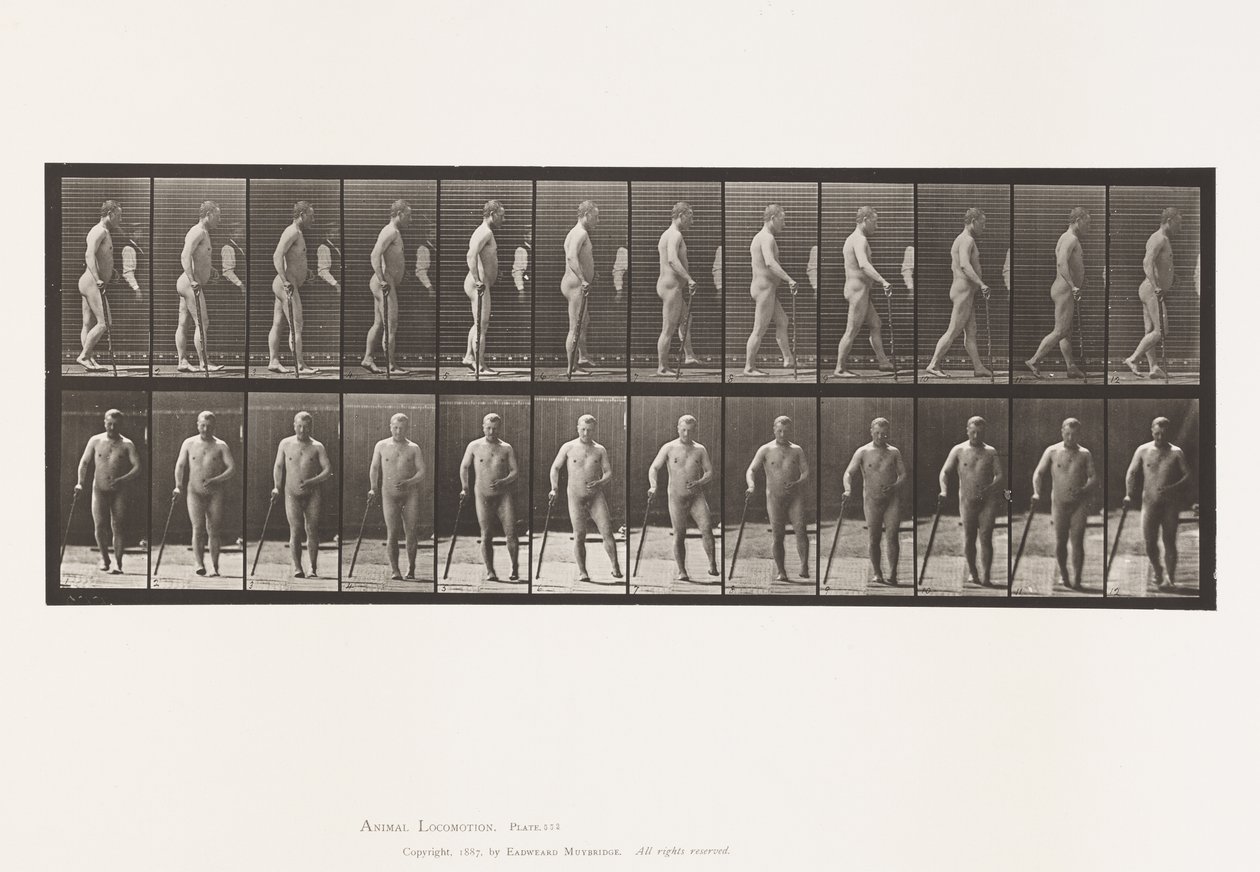 Plate 552.Hemiplegi; Walking with Cane, 1885 av Eadweard Muybridge