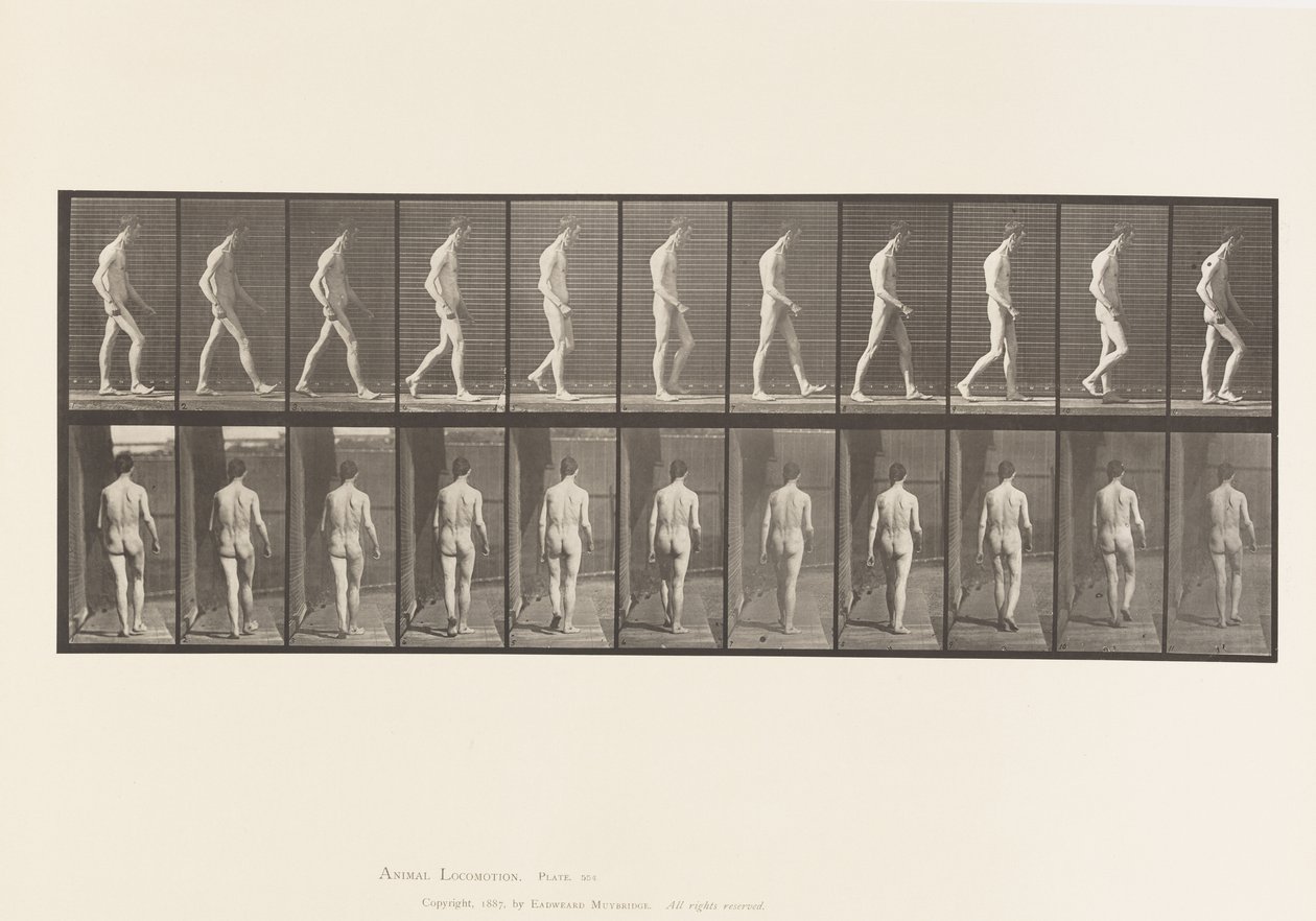 Plate 554.Locomotor Ataxia; Gående, 1885 av Eadweard Muybridge